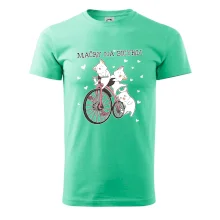 Mačky na bicykli