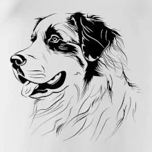 Bernský salašnícky pes čierna kresba