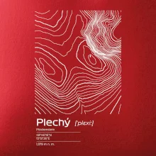 Plechý - vrstevnice v obdĺžniku