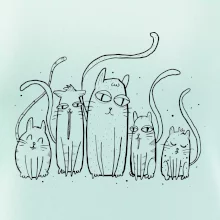 Mačacia rodina Mačacia rodina