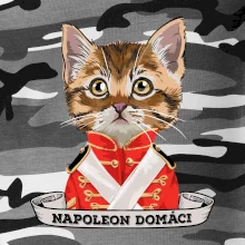 Napoleon domáci mačka