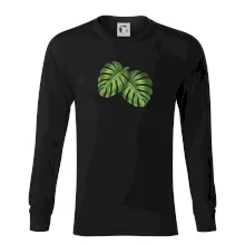 Monstera - dva listy Monstera - dva listy