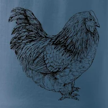 Sliepka čiernobiela