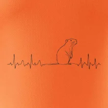 EKG krivka kapybara