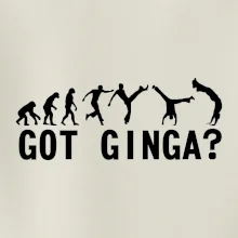 Capoeira - Got Ginga
