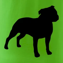 Americký stafordšírsky teriér Na prsníku