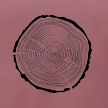 Letokruhy 45 bez veku