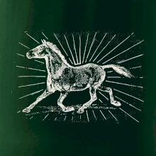 Kôň a lúče Kôň a lúče