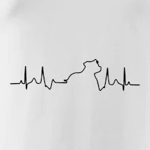 Stafordšírsky bulteriér ‎ EKG