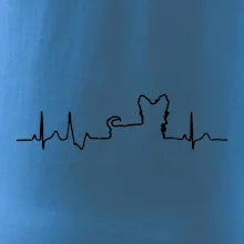 Yorkshirský teriér EKG