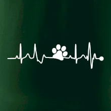 Ekg psia labka Ekg psia labka