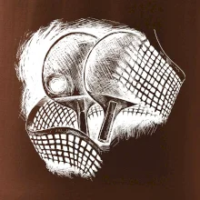 Ping pong rakety a sieť