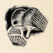 Ping pong rakety a sieť