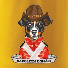 Napoleon domáci kríženec