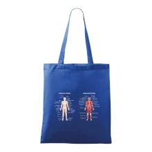 Skelet and Moscular system