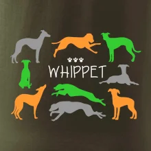 Whippet farebný