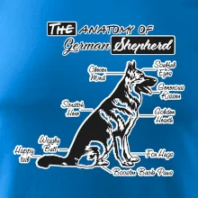 Nemecký ovčiak - Anatómia