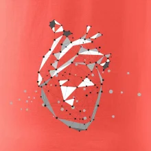 Ľudské srdce Ľudské srdce