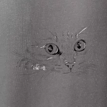 Mačka tvár kresba Mačka tvár kresba