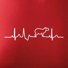 Ekg Capybara