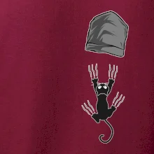 Mačka vypadla z vrecka