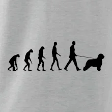 Evolúcia pes Briard