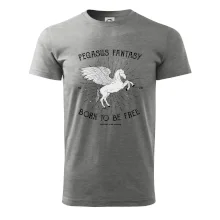 Pegasus fantasy Pegasus fantasy