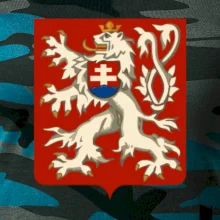 Znak maly Prvá Republika československá 1918–1920