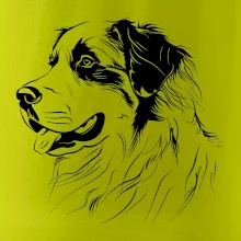 Bernský salašnícky pes čierna kresba