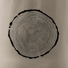 Letokruhy 85 bez veku