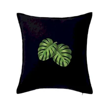 Monstera - dva listy