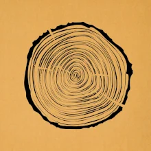 Letokruhy 25 bez veku