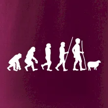 Evolúcia pastier oviec