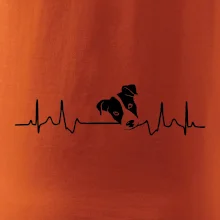 Jack Russell Terriér Ekg