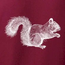 Veverička kresba