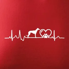 Chrt - Ekg Chrt - Ekg