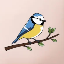 Sýkorka modrinka na vetve