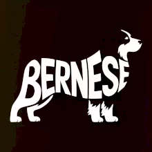 Bernese Mountain Dog nápis v tele