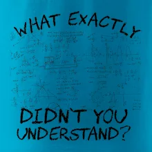 What exactly didn't you understand - physics