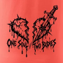 One soul two bodies