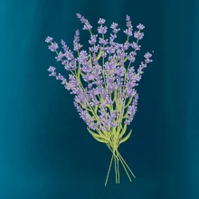 Levanduľa kreslená Levanduľa kreslená