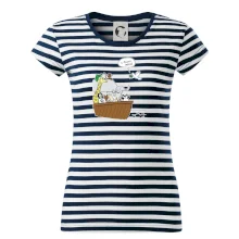 Pravda s Noemovou archou Pravda s Noemovou archou