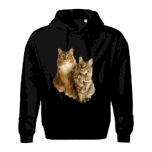 Mačky vectorizované (Moňas)