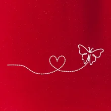 Dráha letu motýľa - srdce