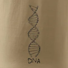 Cyklistovo DNA