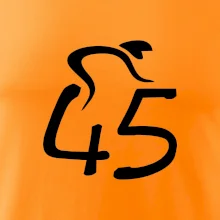 Cyklista oslavuje štyridsaťpäťku (45)
