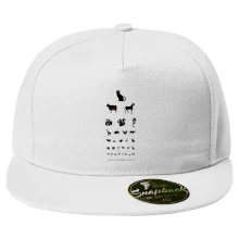 Očný test zvieratká Očný test zvieratká