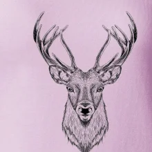 Jeleň kresba Jeleň kresba