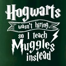 Harry - Hogwarts wasn’t hiring, so I teach Muggles instead