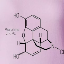 Molekulárna štruktúra Morfín